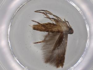  ( - BIOUG79882-D08)  @11 [ ] CreativeCommons - Attribution (2022) Centre for Biodiversity Genomics Centre for Biodiversity Genomics