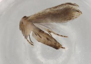  ( - BIOUG80407-D10)  @11 [ ] CreativeCommons - Attribution (2022) Centre for Biodiversity Genomics Centre for Biodiversity Genomics