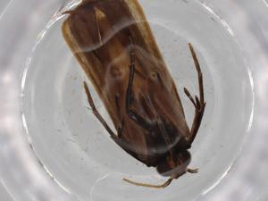  ( - BIOUG80430-F10)  @11 [ ] CreativeCommons - Attribution (2022) Centre for Biodiversity Genomics Centre for Biodiversity Genomics