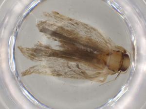  ( - BIOUG80432-G04)  @11 [ ] CreativeCommons - Attribution (2022) Centre for Biodiversity Genomics Centre for Biodiversity Genomics