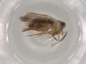  ( - BIOUG80448-C04)  @11 [ ] CreativeCommons - Attribution (2022) Centre for Biodiversity Genomics Centre for Biodiversity Genomics