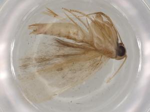  ( - BIOUG80448-D04)  @11 [ ] CreativeCommons - Attribution (2022) Centre for Biodiversity Genomics Centre for Biodiversity Genomics