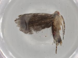  ( - BIOUG80514-C10)  @11 [ ] CreativeCommons - Attribution (2022) Centre for Biodiversity Genomics Centre for Biodiversity Genomics