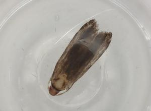  ( - BIOUG80523-B01)  @11 [ ] CreativeCommons - Attribution (2022) Centre for Biodiversity Genomics Centre for Biodiversity Genomics