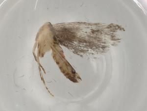  ( - BIOUG80523-H02)  @11 [ ] CreativeCommons - Attribution (2022) Centre for Biodiversity Genomics Centre for Biodiversity Genomics