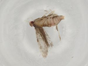  ( - BIOUG80536-B07)  @11 [ ] CreativeCommons - Attribution (2022) Centre for Biodiversity Genomics Centre for Biodiversity Genomics