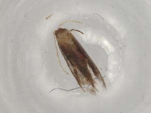  ( - BIOUG80551-B03)  @11 [ ] CreativeCommons - Attribution (2022) Centre for Biodiversity Genomics Centre for Biodiversity Genomics