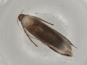  ( - BIOUG80551-B09)  @11 [ ] CreativeCommons - Attribution (2022) Centre for Biodiversity Genomics Centre for Biodiversity Genomics