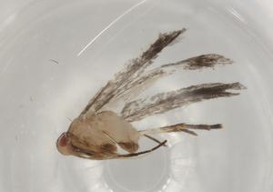  ( - BIOUG80551-C02)  @11 [ ] CreativeCommons - Attribution (2022) Centre for Biodiversity Genomics Centre for Biodiversity Genomics