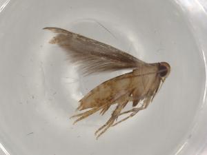  ( - BIOUG80551-D10)  @11 [ ] CreativeCommons - Attribution (2022) Centre for Biodiversity Genomics Centre for Biodiversity Genomics