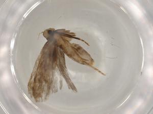  ( - BIOUG80551-E04)  @11 [ ] CreativeCommons - Attribution (2022) Centre for Biodiversity Genomics Centre for Biodiversity Genomics