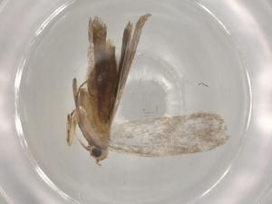  ( - BIOUG80551-E09)  @11 [ ] CreativeCommons - Attribution (2022) Centre for Biodiversity Genomics Centre for Biodiversity Genomics