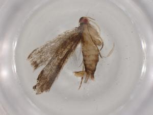  ( - BIOUG80558-C04)  @11 [ ] CreativeCommons - Attribution (2022) Centre for Biodiversity Genomics Centre for Biodiversity Genomics