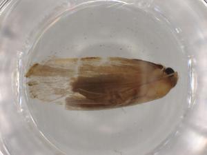  ( - BIOUG80566-B03)  @11 [ ] CreativeCommons - Attribution (2022) Centre for Biodiversity Genomics Centre for Biodiversity Genomics