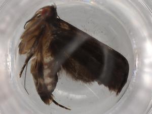  ( - BIOUG80566-F05)  @11 [ ] CreativeCommons - Attribution (2022) Centre for Biodiversity Genomics Centre for Biodiversity Genomics