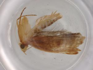  ( - BIOUG80579-A08)  @11 [ ] CreativeCommons - Attribution (2022) Centre for Biodiversity Genomics Centre for Biodiversity Genomics