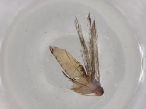  ( - BIOUG80579-B09)  @11 [ ] CreativeCommons - Attribution (2022) Centre for Biodiversity Genomics Centre for Biodiversity Genomics