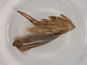  ( - BIOUG80598-A08)  @11 [ ] CreativeCommons - Attribution (2022) Centre for Biodiversity Genomics Centre for Biodiversity Genomics