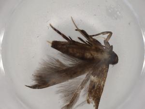  ( - BIOUG80598-B03)  @11 [ ] CreativeCommons - Attribution (2022) Centre for Biodiversity Genomics Centre for Biodiversity Genomics