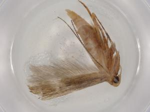  ( - BIOUG80598-B08)  @11 [ ] CreativeCommons - Attribution (2022) Centre for Biodiversity Genomics Centre for Biodiversity Genomics