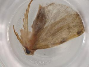  ( - BIOUG80598-C01)  @11 [ ] CreativeCommons - Attribution (2022) Centre for Biodiversity Genomics Centre for Biodiversity Genomics