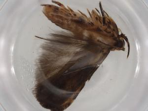  ( - BIOUG80598-C08)  @11 [ ] CreativeCommons - Attribution (2022) Centre for Biodiversity Genomics Centre for Biodiversity Genomics