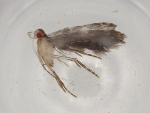  ( - BIOUG80598-D04)  @11 [ ] CreativeCommons - Attribution (2022) Centre for Biodiversity Genomics Centre for Biodiversity Genomics