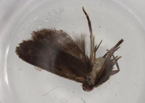  ( - BIOUG80598-D05)  @11 [ ] CreativeCommons - Attribution (2022) Centre for Biodiversity Genomics Centre for Biodiversity Genomics