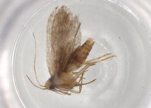  ( - BIOUG81403-H05)  @11 [ ] CreativeCommons - Attribution (2022) Centre for Biodiversity Genomics Centre for Biodiversity Genomics