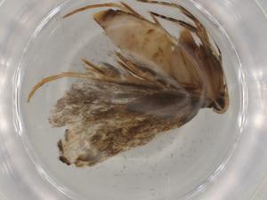  ( - BIOUG81404-D09)  @11 [ ] CreativeCommons - Attribution (2022) Centre for Biodiversity Genomics Centre for Biodiversity Genomics