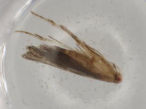  ( - BIOUG81404-E05)  @11 [ ] CreativeCommons - Attribution (2022) Centre for Biodiversity Genomics Centre for Biodiversity Genomics