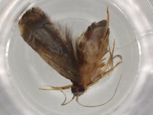  ( - BIOUG81404-E12)  @11 [ ] CreativeCommons - Attribution (2022) Centre for Biodiversity Genomics Centre for Biodiversity Genomics