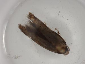  ( - BIOUG81411-B03)  @11 [ ] CreativeCommons - Attribution (2022) Centre for Biodiversity Genomics Centre for Biodiversity Genomics