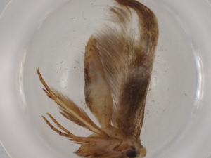  ( - BIOUG81411-B07)  @11 [ ] CreativeCommons - Attribution (2022) Centre for Biodiversity Genomics Centre for Biodiversity Genomics