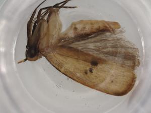  ( - BIOUG81411-B12)  @11 [ ] CreativeCommons - Attribution (2022) Centre for Biodiversity Genomics Centre for Biodiversity Genomics