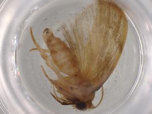  ( - BIOUG80474-A08)  @11 [ ] CreativeCommons - Attribution (2022) Centre for Biodiversity Genomics Centre for Biodiversity Genomics