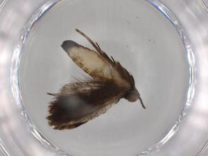  ( - BIOUG80474-D02)  @11 [ ] CreativeCommons - Attribution (2022) Centre for Biodiversity Genomics Centre for Biodiversity Genomics