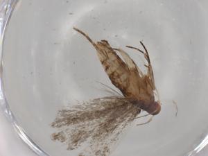  ( - BIOUG80474-D04)  @11 [ ] CreativeCommons - Attribution (2022) Centre for Biodiversity Genomics Centre for Biodiversity Genomics