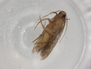  ( - BIOUG80498-A12)  @11 [ ] CreativeCommons - Attribution (2022) Centre for Biodiversity Genomics Centre for Biodiversity Genomics