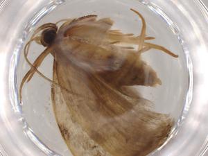  ( - BIOUG81450-F09)  @11 [ ] CreativeCommons - Attribution (2022) Centre for Biodiversity Genomics Centre for Biodiversity Genomics