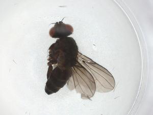  ( - CBG-A08702-A10)  @11 [ ] CreativeCommons - Attribution Share - Alike (2023) Centre for Biodiversity Genomics Centre for Biodiversity Genomics