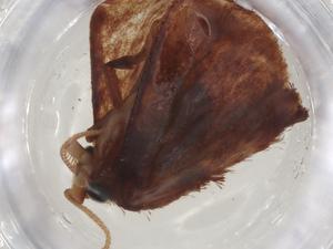  ( - CBG-A08804-D02)  @11 [ ] CreativeCommons - Attribution Share - Alike (2023) Centre for Biodiversity Genomics Centre for Biodiversity Genomics