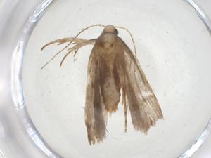  ( - CBG-A09872-F07)  @11 [ ] CreativeCommons - Attribution Share - Alike (2023) Centre for Biodiversity Genomics Centre for Biodiversity Genomics