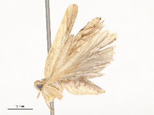  ( - CBG-A51968-F02)  @11 [ ] CreativeCommons - Attribution Share - Alike (2024) CBG Photography Group Centre for Biodiversity Genomics