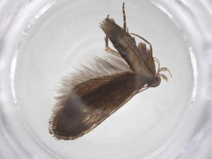  ( - CBG-A38660-D12)  @11 [ ] CreativeCommons - Attribution Share - Alike (2024) Centre for Biodiversity Genomics Centre for Biodiversity Genomics