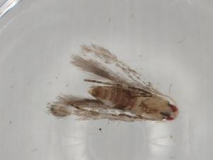  ( - BIOUG78081-D02)  @11 [ ] CreativeCommons - Attribution (2022) Centre for Biodiversity Genomics Centre for Biodiversity Genomics