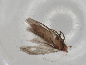  ( - BIOUG79016-E07)  @11 [ ] CreativeCommons - Attribution (2022) Centre for Biodiversity Genomics Centre for Biodiversity Genomics