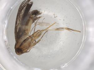  ( - BIOUG86309-A02)  @11 [ ] CreativeCommons - Attribution (2022) Centre for Biodiversity Genomics Centre for Biodiversity Genomics