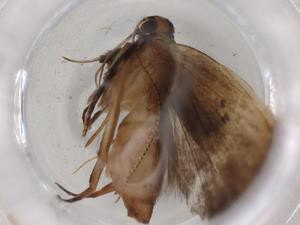  ( - BIOUG86318-G05)  @11 [ ] CreativeCommons - Attribution (2022) Centre for Biodiversity Genomics Centre for Biodiversity Genomics