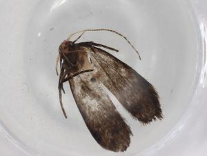  ( - BIOUG86318-G10)  @11 [ ] CreativeCommons - Attribution (2022) Centre for Biodiversity Genomics Centre for Biodiversity Genomics